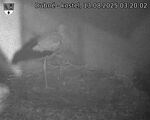 Capi_Dubne_20250813_032002.jpg
