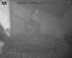 Capi_Dubne_20250813_042502.jpg