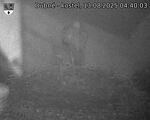 Capi_Dubne_20250813_044003.jpg