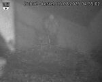 Capi_Dubne_20250813_045502.jpg