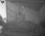 Capi_Dubne_20250813_050003.jpg