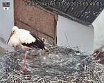 Capi_Dubne_20250813_054003.jpg