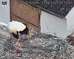 Capi_Dubne_20250813_055503.jpg