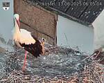 Capi_Dubne_20250813_060504.jpg
