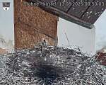Capi_Dubne_20250813_085003.jpg
