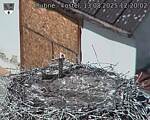 Capi_Dubne_20250813_122003.jpg