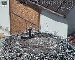 Capi_Dubne_20250813_130503.jpg