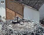 Capi_Dubne_20250813_154003.jpg