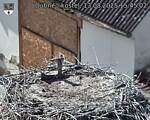 Capi_Dubne_20250813_154502.jpg