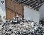 Capi_Dubne_20250813_155003.jpg