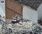 Capi_Dubne_20250813_160503.jpg