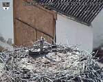 Capi_Dubne_20250813_163502.jpg