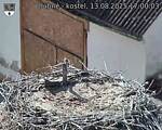 Capi_Dubne_20250813_170003.jpg