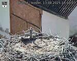 Capi_Dubne_20250813_171003.jpg