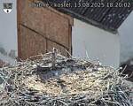 Capi_Dubne_20250813_182002.jpg