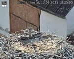 Capi_Dubne_20250813_182503.jpg