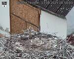 Capi_Dubne_20250813_185003.jpg