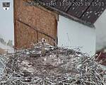 Capi_Dubne_20250813_191503.jpg