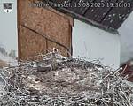 Capi_Dubne_20250813_193003.jpg