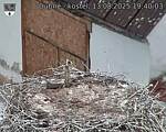Capi_Dubne_20250813_194003.jpg