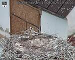 Capi_Dubne_20250813_194503.jpg