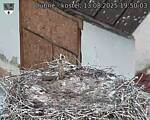 Capi_Dubne_20250813_195003.jpg
