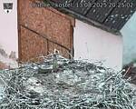 Capi_Dubne_20250813_202502.jpg