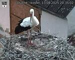 Capi_Dubne_20250813_203502.jpg