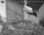 Capi_Dubne_20250813_205002.jpg