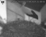 Capi_Dubne_20250813_210002.jpg