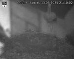 Capi_Dubne_20250813_211002.jpg