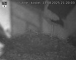 Capi_Dubne_20250813_212003.jpg