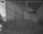 Capi_Dubne_20250813_213003.jpg
