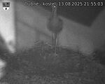 Capi_Dubne_20250813_215503.jpg