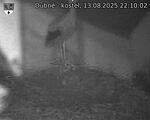 Capi_Dubne_20250813_221002.jpg