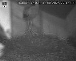 Capi_Dubne_20250813_221503.jpg