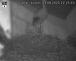 Capi_Dubne_20250813_222503.jpg