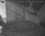 Capi_Dubne_20250813_223002.jpg