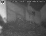 Capi_Dubne_20250813_223503.jpg