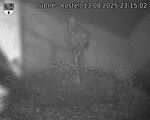 Capi_Dubne_20250813_231502.jpg