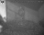 Capi_Dubne_20250813_234003.jpg