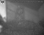 Capi_Dubne_20250813_234502.jpg