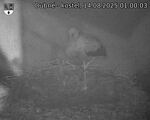 Capi_Dubne_20250814_010003.jpg