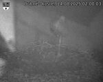 Capi_Dubne_20250814_020003.jpg