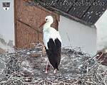 Capi_Dubne_20250814_054502.jpg