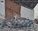 Capi_Dubne_20250814_071503.jpg