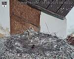 Capi_Dubne_20250814_084002.jpg