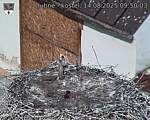 Capi_Dubne_20250814_095003.jpg