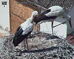 Capi_Dubne_20250814_131003.jpg