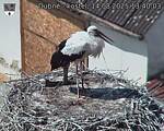 Capi_Dubne_20250814_134003.jpg